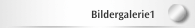 Bildergalerie1