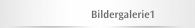 Bildergalerie1